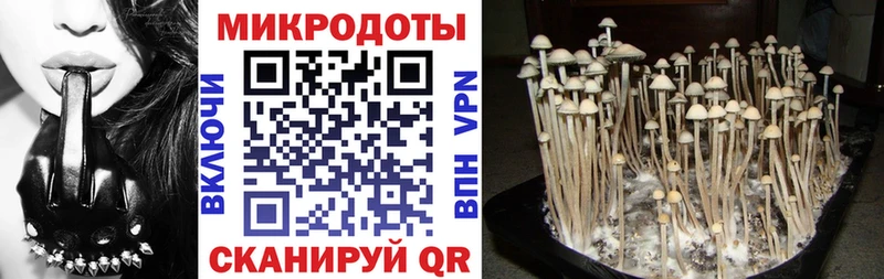 Купить где  Аткарск  Галлюциногенные грибы ЛСД 